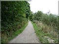 Trans Pennine Trail / National Cycle Network Route 62 beside the River Dearne in S63 8EN