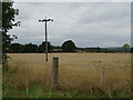 Stubble field and power lines near Billingley Bridge in S63 8DE