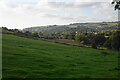 Field in the Sett valley in New Mills East Ward