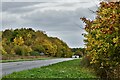Little Fransham: The A47 seen from Love Lane in NR19 2HR