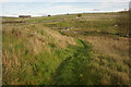 Footpath near Wardlow in Wardlow