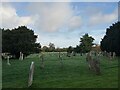 Early morning in Ropley Churchyard in SO24 0DP