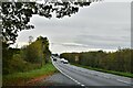 Necton: The A47 seen from a lay-by in PE37 8HY