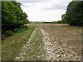 Downland track, Church Hill in DT2 7RP
