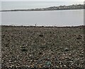 Pebble covered beach in DD5 1EA