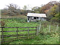 Ramshackle stable shed in a field below Middle Redford in South Bedburn