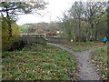 Path junction and bridge in Hamsterley Forest in South Bedburn