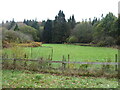 Football pitch in Hamsterley Forest in South Bedburn