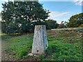Maidscross Hill Trig Pillar in IP27 9ET