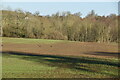 High Wealden Farmland in TN8 7DJ