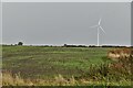 Bradwell on Sea: Single Windmill at Bradwell Marsh Wind Farm in Bradwell-on-Sea