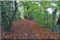 Footpath through the woods to Arlesey in SG15 6SD