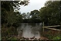 Muddy Pond near Middleton Hall in PR3 2JU