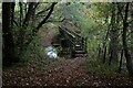 Footbridge across Westfield Brook in PR3 2JU