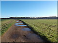 The track to the poultry farm in DN20 0BG