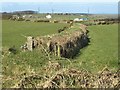 Field boundary, Trehane in PL32 9XP