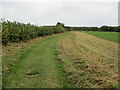 Field edge path between Boscobel House and the Priory in WV8 1QX