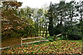 Bradenham: Wooded area bordering St. Andrew's Church in IP25 7QT