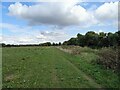 Bridleway beside the River Great Ouse in MK43 7JD