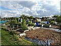 Allotments, Rushden  in NN10 9EZ