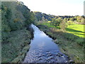 Blackadder Water upstream from Blackadder Bridge, Allanton in TD11 3JY