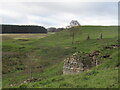 Ruin and limekiln, Mount Lothian in EH26 8QQ