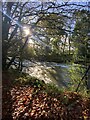 Afon Cothi in autumn in SA32 7PL