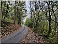 Country lane at Shavers End in DY13 0UU