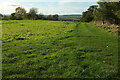 Centenary Way by Hill Clumps in Honington