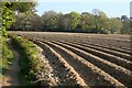 Farmland, Mylor in TR10 9AZ
