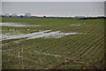 Partly flooded farmland in TN28 8SF