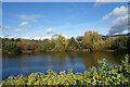 Pond in the Research Park in GU3 3DA