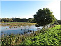 Flooded land near Isfield in TN22 5XU