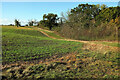 Arable field near Upper Tysoe in CV35 0SR