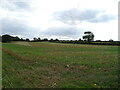 Field with footpath off Pavenham Road in MK43 7NB