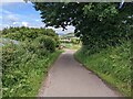 Cycle Route 72 leaves the unclassified road to join the old railway line in Bigrigg