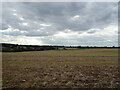 Field off Wellingborough Road in NN14 1JL