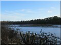 Castle Island Nature Reserve on the River Wansbeck in NE63 0XL