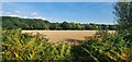 Arable farmland near to Aingers Green in CO7 8HB