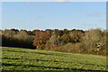Pasture and woodland in TN22 5JB
