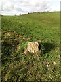 Boundary Marker, Uley Bury in GL11 5TL