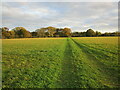 Bridleway to Clipsham in Clipsham