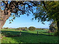 View across farmland, High Wollaston Farm, Woolaston, Gloucestershire in GL15 6PX