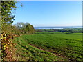 A hedge, a field, and the River Severn beyond, High Woolaston, Gloucestershire in GL15 6PX