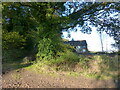Overgrown track and derelict hut, High Woolaston, Gloucestershire in GL15 6PX