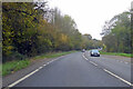 A36 Salisbury Road in SP5 2RU