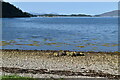 Loch Carron at Fernaig Shore in IV53 8UW