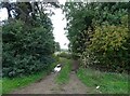 Track off Pitsford Road in NN3 7WU