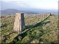 Craik Moor triangulation pillar in TD5 8PY