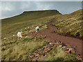 Path to Bwlch Duwynt in LD3 8NL